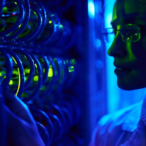 Closeup portrait of beautiful  female face by wire cables of server cabinet in neon light